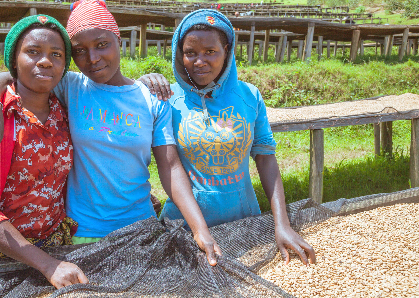 Rwanda Musasa - Microlot