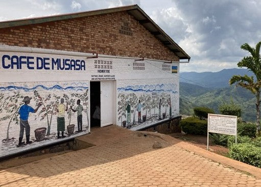 Rwanda Musasa - Microlot