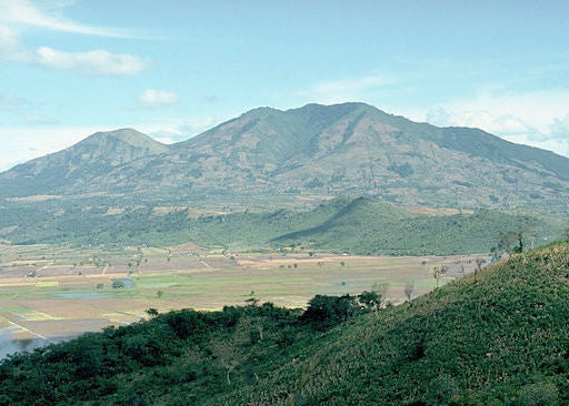 Guatemala Marogogype Natural - Microlot
