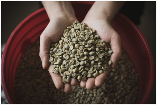 Vermont Artisan Coffee - Edible Green Mountains