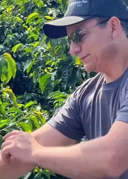 Colombia Chiroso - Microlot