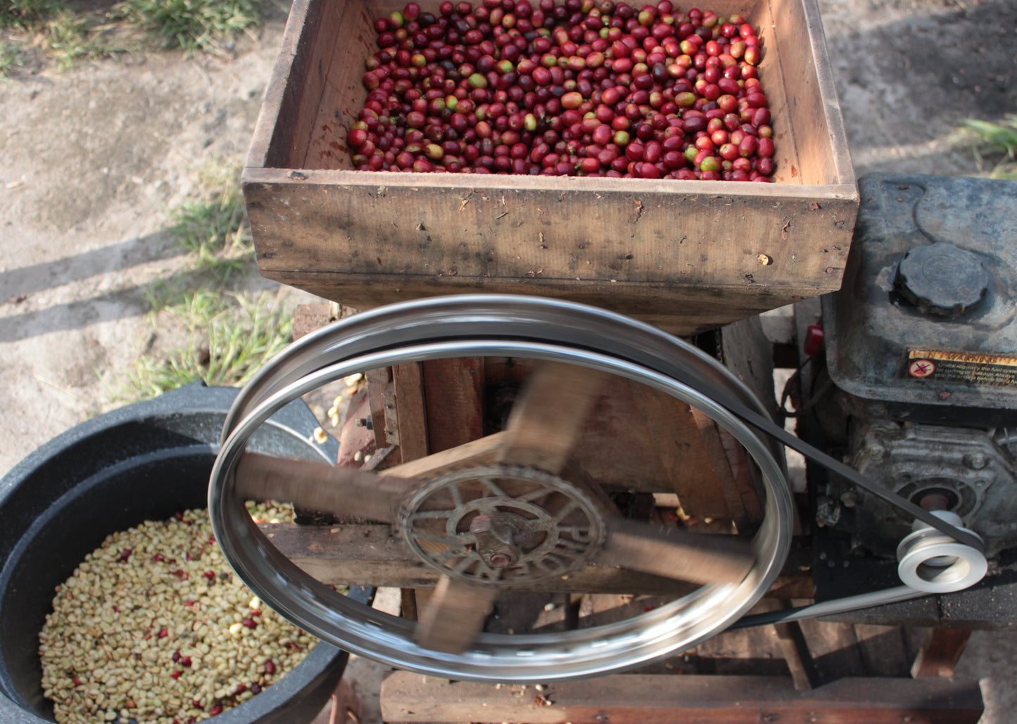 Sumatra Gayo