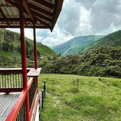 Colombian Tabi Natural - Microlot