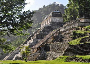 Mayan Decaf