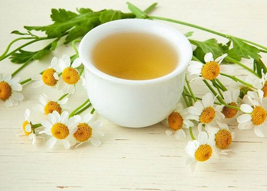 Chamomile